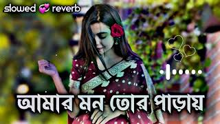 আমার মন তোর পাড়ায় Amar Mon Tor Paraiy  Slowed 💞 Reverb Ripon Lofi BD 2024 [upl. by Yffub]