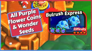 Bulrush Express  All Purple Coins amp Wonder Seeds  Flagpole amp Secret Exit  Super Mario Bros Wonder [upl. by Nylek58]