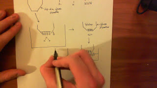 Artificial Lipid Bilayers Part 1 [upl. by Hanoj64]