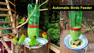 Easy Way To Make Automatic Birds Feeder  How to Make Birds Feeder 7Up Bottle [upl. by Nylzaj]