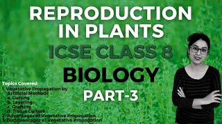 Reproduction in Plants 🌱  ICSE CLASS 8 Biology  Part  3 [upl. by Ricardo]