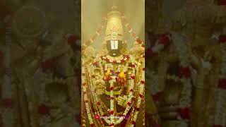 Sri Venkateswara Suprabhatam whatsapp status  MS Subbulakshmi Sri Venkateswara Suprabhatham  PK25 [upl. by Akemihs]