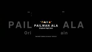 Pailwan Ala original High Gain 🤼🤙🏻🔊🔥 pailwanseriessolapur [upl. by Eitsirk]