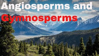 Difference between angiosperm and gymnosperm plants [upl. by Ailey]