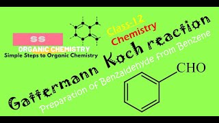 Gattermann–Koch Reaction Preparation of Benzaldehyde from Benzene Organic Chemistry Class12 [upl. by Elik]