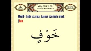 Med Harfleri Nelerdir  Meddi TabiiMeddi MuttasılMeddi MunfasılMeddi ArızMeddi Lazım [upl. by Archy]