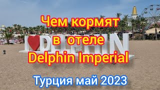 ЧЕМ КОРМЯТ В ОТЕЛЕ quotDELPHIN IMPERIAL quot ТУРЦИЯ МАЙ 2023 [upl. by Mossman171]