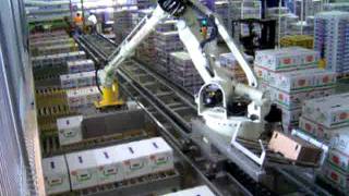 JMP ENGINEERING  Robotic Produce Palletizing with Robot on a Rail [upl. by Cassell]