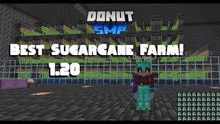 Best Sugarcane Farm To Make In 120 Great For The DonutSMP [upl. by Enilrem]