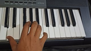 Nelluri nerajaana song on piano casio keyboard [upl. by Analahs]