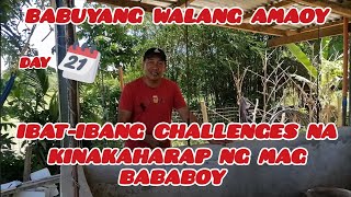 BABUYANG WALANG AMOY  DAY 21 ✅ FATTENER IBATIBANG PROBLEMS AT SOLUSYON SA PAG AALAGA NG BABOY [upl. by Eural]