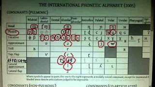 American English consonant sounds part 4 A bunch of allophones [upl. by Abramson598]