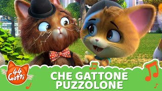 44GattiIT  Canzone quotChe gattone puzzolonequot VIDEOCLIP [upl. by Hatokad]