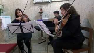 Tale as Old as Time Piano Trio  Piano Violin amp Viola [upl. by Lehcar]