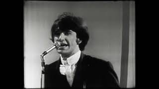 The Kinks  All Day And All Of The Night Live Shindig 1965  Remastered [upl. by Yonatan]