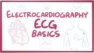 Electrocardiography ECGEKG  basics [upl. by Owen]