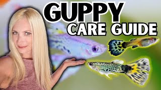 The Ultimate Guppy Fish Care Guide [upl. by Theodor]