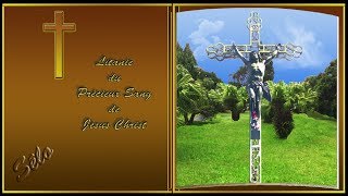 Litanies du Précieux Sang de Jésus Christ Livret de Prière Sonore Sélo [upl. by Nesnej]