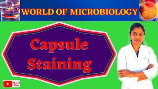 Capsule Staining  Bacterial Staining Tamil  Microbiology Practical  Topic 9 [upl. by Natalina206]