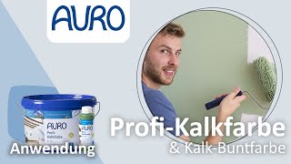 AURO Anwendung Kalkfarben und KalkBuntfarben [upl. by Yenalem]