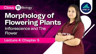 Inflorescence amp The Flower  Morphology of Flowering Plants Ch 5 L 4  Class 11 Biology NCERT [upl. by Prosper]