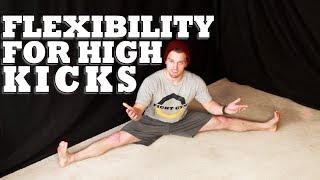 How to Increase Flexibility for High Kicks  Martial Arts Stretching [upl. by Elita]