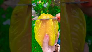 Fruit farming natural life food fruit naturelife jackfruit farming Fruitgarden08 shorts [upl. by Rednave]