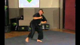 Advanced Black Belt Training  Premier Forms  Intensity Form Full Speed [upl. by Hcib734]