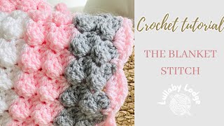 How to Crochet the Blanket Stitch EASY Crochet Tutorial [upl. by Clere]