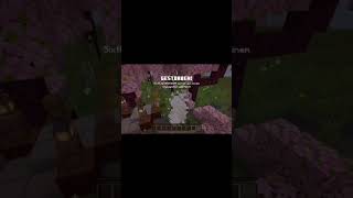 minecraft mincraftfunny gaming minecraftnoobvsprovshackervsgod minecraftmemes viralvideo [upl. by Aicertap]