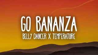 Belly Dancer x Temperature TikTok Remix dont be shy girl go bananza [upl. by Lejna]