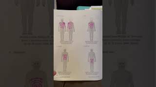 Chapter 17 Surgical Skin Prep and Draping Review Questions and Workbook [upl. by Raseac]