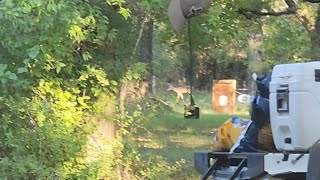 Little buck passing through just outside of camp GitRiteOutdoors [upl. by Glenna]