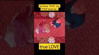 True love  oye makhna movie best seen ammyvirk tanya panjabi movie love shorts youtubeshorts [upl. by Nesnaj]