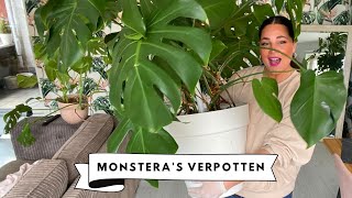 PLANTENVIDEO MONSTERAS VERPOTTEN amp KAMERPLANTEN VOORBEREIDEN OP HET VOORJAAR 🌱  MELISSA AARSSÉE [upl. by Ateekal]