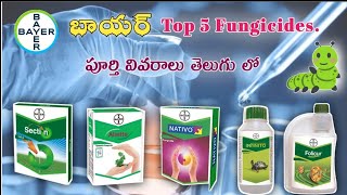 Bayer Top 5 FungicidesతెలుగులోMana kisan మన రైతు [upl. by Kapoor]