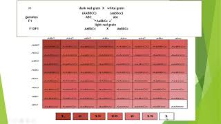 polygenic inheritance [upl. by Berliner608]