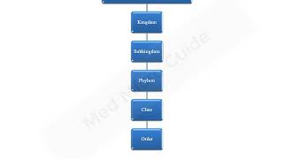 General characteristics and classification of Protozoa lecture [upl. by Novy948]