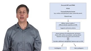 An Approach to Acute Dyspnea [upl. by Marielle646]