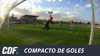 Palestino 4  1 Universidad de Concepción  Campeonato AFP PlanVital 2019  Fecha 4  CDF [upl. by Eichman643]