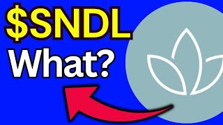 SNDL Stock sundial growers stock SNDL STOCK PREDICTIONS SNDL STOCK Analysis Sndl stock news today [upl. by Madella]