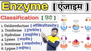 Enzyme in Hindi  Enzymes Biochemistry  Enzyme Classification  Enzymes Inhibition  Enzymes Notes [upl. by Farnham534]