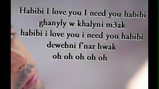 Pitbull amp Ahmed Chawki  Habibi I love you lyric song [upl. by Eirehs]