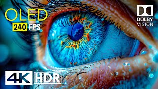 Mind Blowing OLED Dolby Vision  4K HDR 240 fps [upl. by Rehpotsirh]