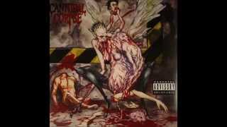 Cannibal Corpse  Unleashing the Bloodthirsty guitar cover no voice [upl. by Edrahc]