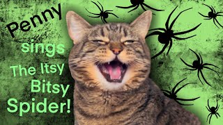 Penny sings a very unique version of The Itsy Bitsy Spider [upl. by Yelsehc]