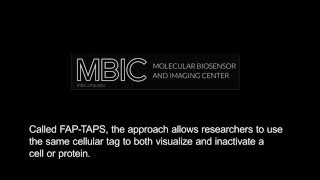 Carnegie Mellon Develops Targeted Photosensitizer for Cell Manipulation [upl. by Tra]