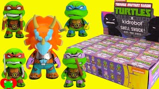 Teenage Mutant Ninja Turtles Kidrobot Shell Shock Mini Series [upl. by Llewsor729]