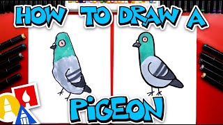 How To Draw A Pigeon [upl. by Bouchier]