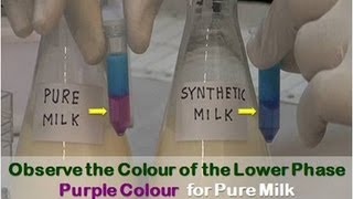 Detection of Adulteration in Milk  Amrita University [upl. by Akemrej]